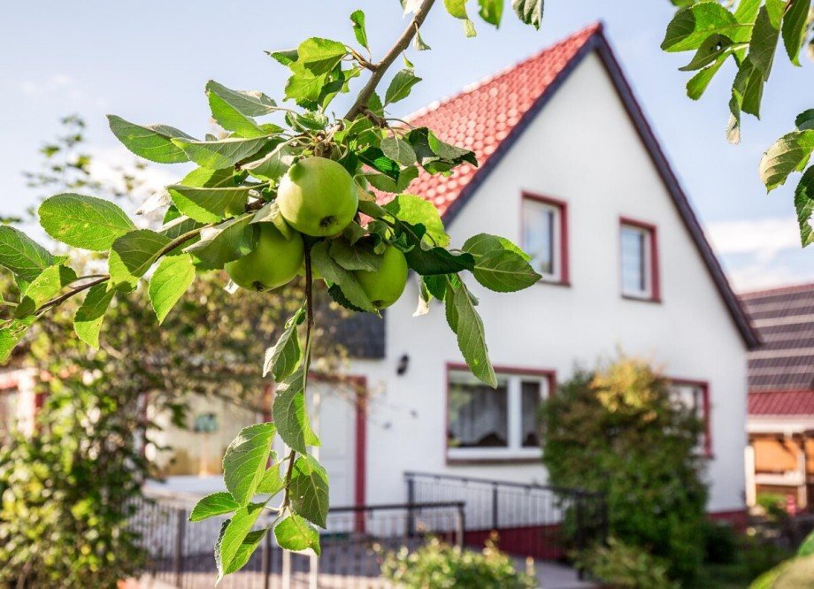Detail Einfamilienhaus Burg Stargard