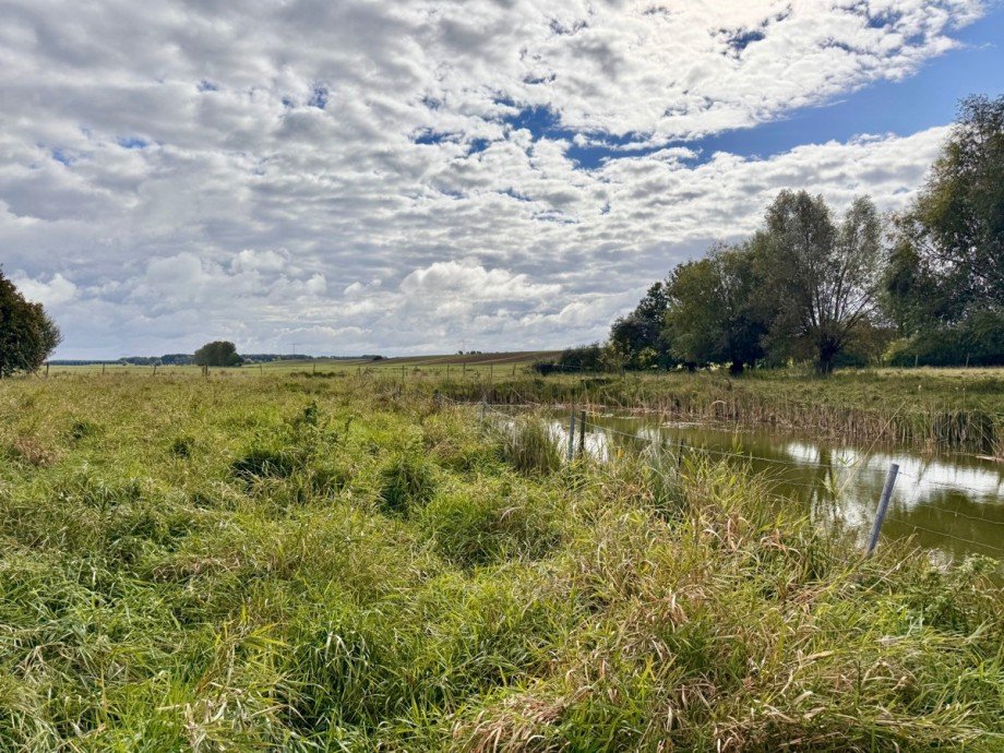 das Grundst�ck Land- / Forstwirtschaft - Grdst. L�cknitz